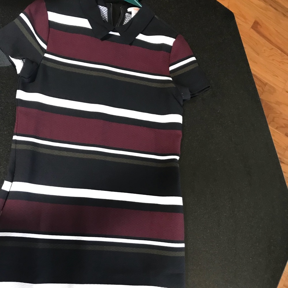 Peter Pan Collar Elsey stripped dress